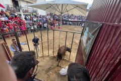 IMG_0563-Mediana