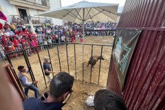 IMG_0564-Mediana