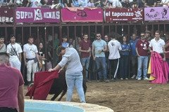 IMG_0566-Mediana