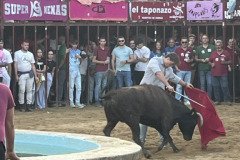 IMG_0567-Mediana