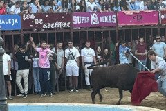 IMG_0569-Mediana