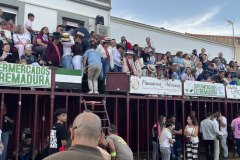 IMG_0589-Mediana