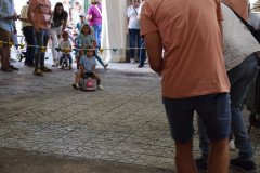 DSC_0010-Mediana