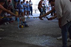 DSC_0072-Mediana