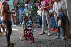 DSC_0100-Mediana