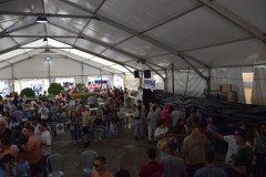 DSC_0123-Mediana