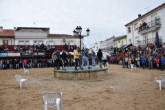 DSC_0080-Grande