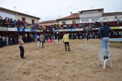 DSC_0085-Grande