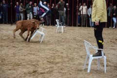 DSC_0092-Grande