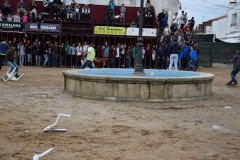 DSC_0110-Grande