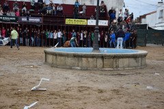 DSC_0112-Grande