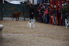 DSC_0114-Grande