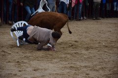 DSC_0122-Grande