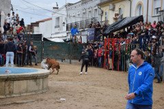 DSC_0129-Grande