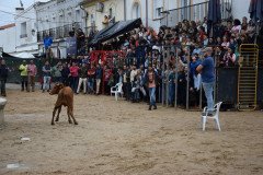 DSC_0142-Grande