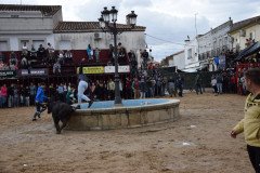 DSC_0166-Grande