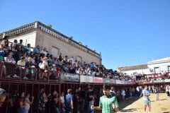 DSC_0076-Mediana