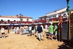 DSC_0077-Mediana