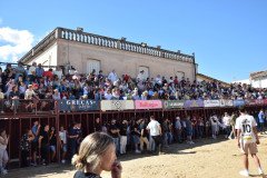 DSC_0080-Mediana