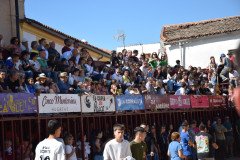 DSC_0082-Mediana
