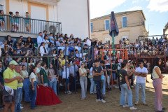 DSC_0087-Mediana