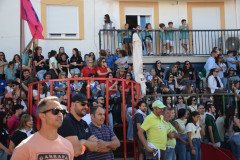 DSC_0088-Mediana