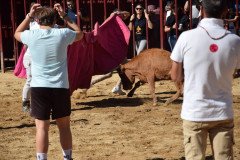 DSC_0091-Mediana
