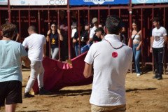 DSC_0094-Mediana