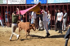 DSC_0096-Mediana