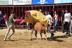 DSC_0097-Mediana