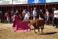 DSC_0098-Mediana