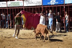 DSC_0100-Mediana