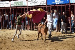 DSC_0101-Mediana