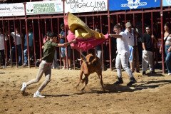 DSC_0102-Mediana