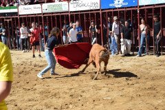 DSC_0103-Mediana