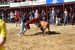 DSC_0104-Mediana