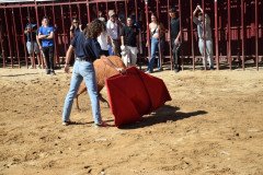 DSC_0105-Mediana