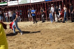DSC_0107-Mediana