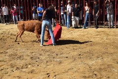 DSC_0108-Mediana