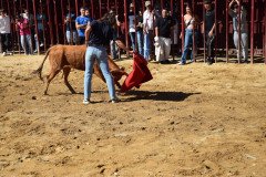 DSC_0109-Mediana