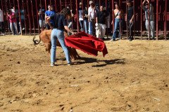 DSC_0110-Mediana