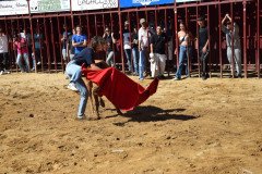 DSC_0112-Mediana