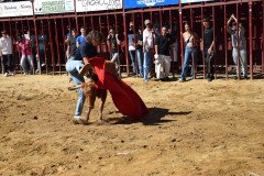 DSC_0113-Mediana