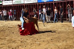 DSC_0115-Mediana