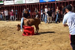 DSC_0116-Mediana