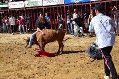 DSC_0117-Mediana
