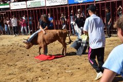 DSC_0118-Mediana