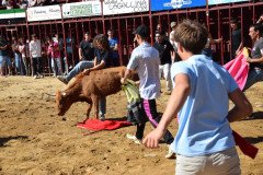 DSC_0121-Mediana