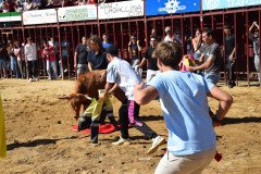 DSC_0123-Mediana
