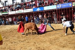 DSC_0124-Mediana